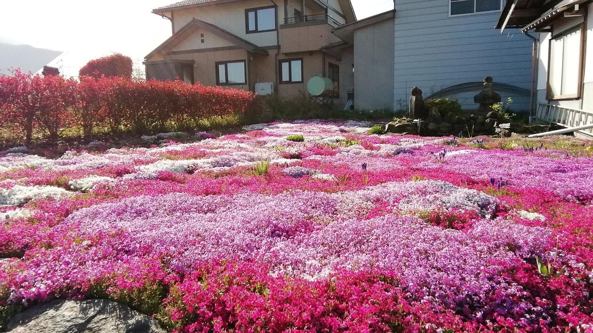 Guest House Honami-Kaido Yamanouchi  Exterior foto